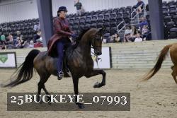 25BUCKEYE_07993 thumbnail