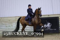 25BUCKEYE_07994 thumbnail