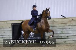 25BUCKEYE_07995 thumbnail