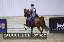 25BUCKEYE_07997 thumbnail