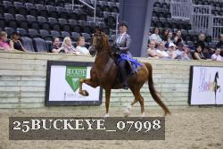 25BUCKEYE_07998 thumbnail