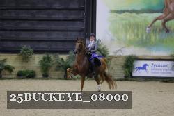 25BUCKEYE_08000 thumbnail