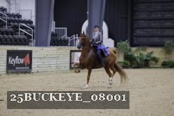 25BUCKEYE_08001 thumbnail