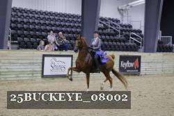 25BUCKEYE_08002 thumbnail