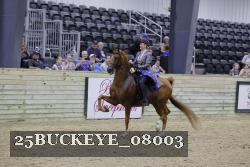 25BUCKEYE_08003 thumbnail