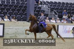 25BUCKEYE_08006 thumbnail
