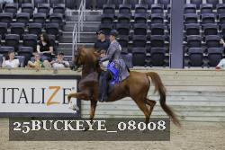 25BUCKEYE_08008 thumbnail