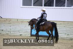 25BUCKEYE_08014 thumbnail