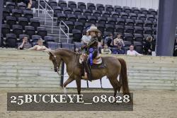 25BUCKEYE_08028 thumbnail