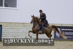 25BUCKEYE_08037 thumbnail
