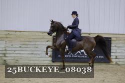 25BUCKEYE_08038 thumbnail