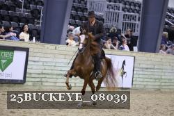 25BUCKEYE_08039 thumbnail