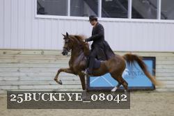 25BUCKEYE_08042 thumbnail