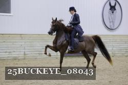 25BUCKEYE_08043 thumbnail