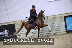 25BUCKEYE_08044 thumbnail