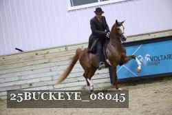 25BUCKEYE_08045 thumbnail