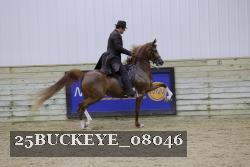 25BUCKEYE_08046 thumbnail