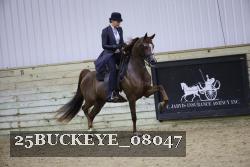 25BUCKEYE_08047 thumbnail