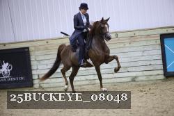 25BUCKEYE_08048 thumbnail