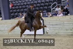 25BUCKEYE_08049 thumbnail