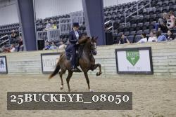 25BUCKEYE_08050 thumbnail
