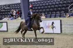 25BUCKEYE_08051 thumbnail