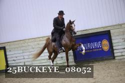 25BUCKEYE_08052 thumbnail