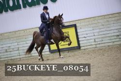 25BUCKEYE_08054 thumbnail