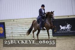 25BUCKEYE_08055 thumbnail