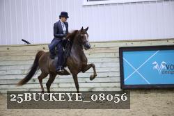 25BUCKEYE_08056 thumbnail