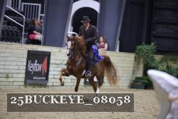 25BUCKEYE_08058 thumbnail