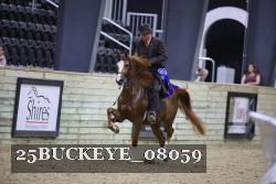 25BUCKEYE_08059 thumbnail