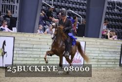25BUCKEYE_08060 thumbnail