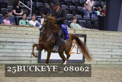 25BUCKEYE_08062 thumbnail