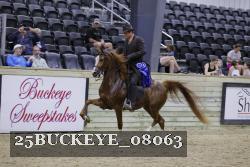 25BUCKEYE_08063 thumbnail