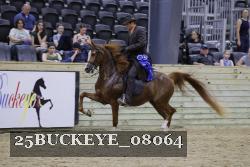 25BUCKEYE_08064 thumbnail