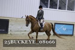 25BUCKEYE_08066 thumbnail
