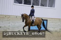 25BUCKEYE_08067 thumbnail