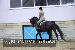 25BUCKEYE_08068 thumbnail