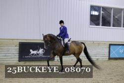 25BUCKEYE_08070 thumbnail