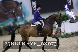 25BUCKEYE_08075 thumbnail