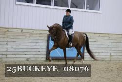 25BUCKEYE_08076 thumbnail