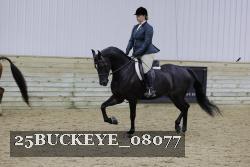25BUCKEYE_08077 thumbnail