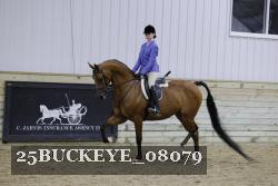 25BUCKEYE_08079 thumbnail