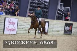 25BUCKEYE_08081 thumbnail