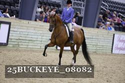 25BUCKEYE_08082 thumbnail