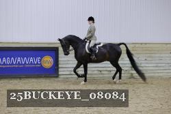 25BUCKEYE_08084 thumbnail