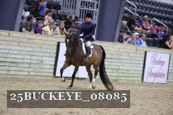 25BUCKEYE_08085 thumbnail