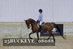 25BUCKEYE_08088 thumbnail