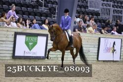 25BUCKEYE_08093 thumbnail